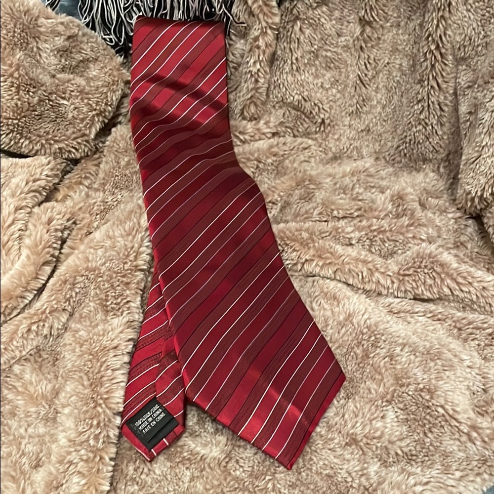 Elegant Red Striped Tie